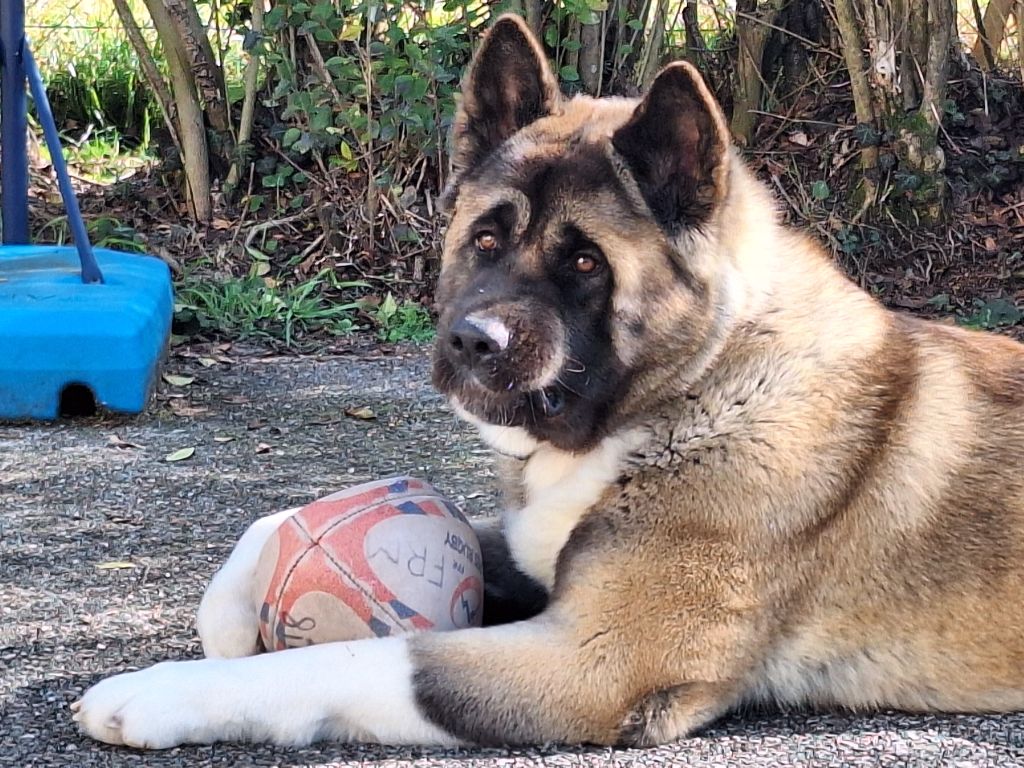 Krav addict undisputed godess Galadriel's Angels