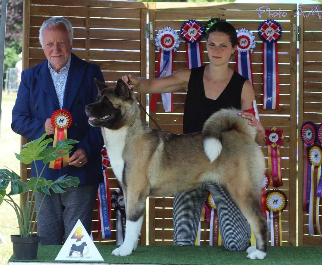 Krav addict undisputed godess Galadriel's Angels