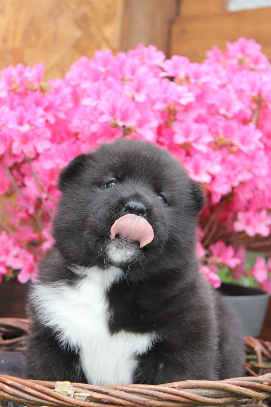 Blind love