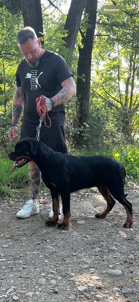 Mako vom hause edelstein