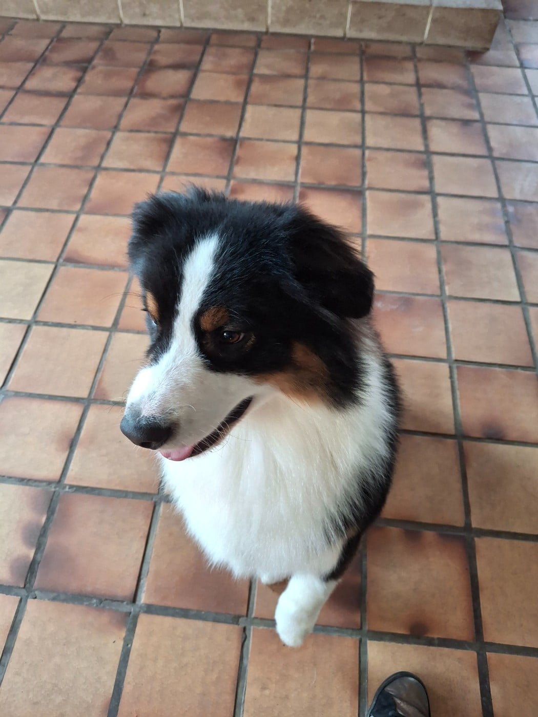 Very Oslo (dit Oslo) Du Clan De Mackenzie