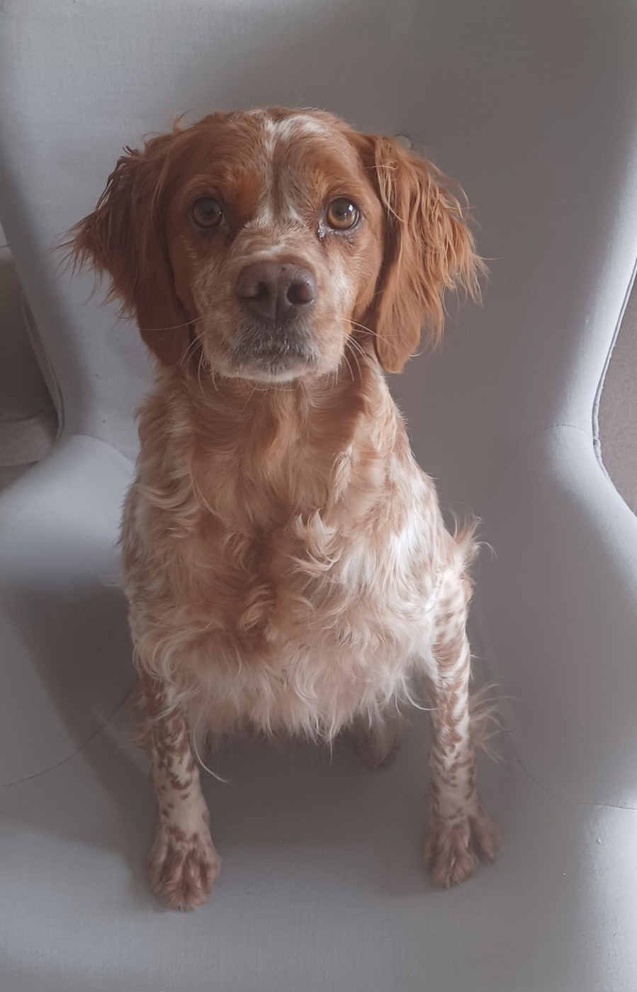 Publication : Des Prés De Jégu