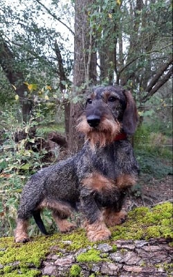 Des Remparts De Blossac