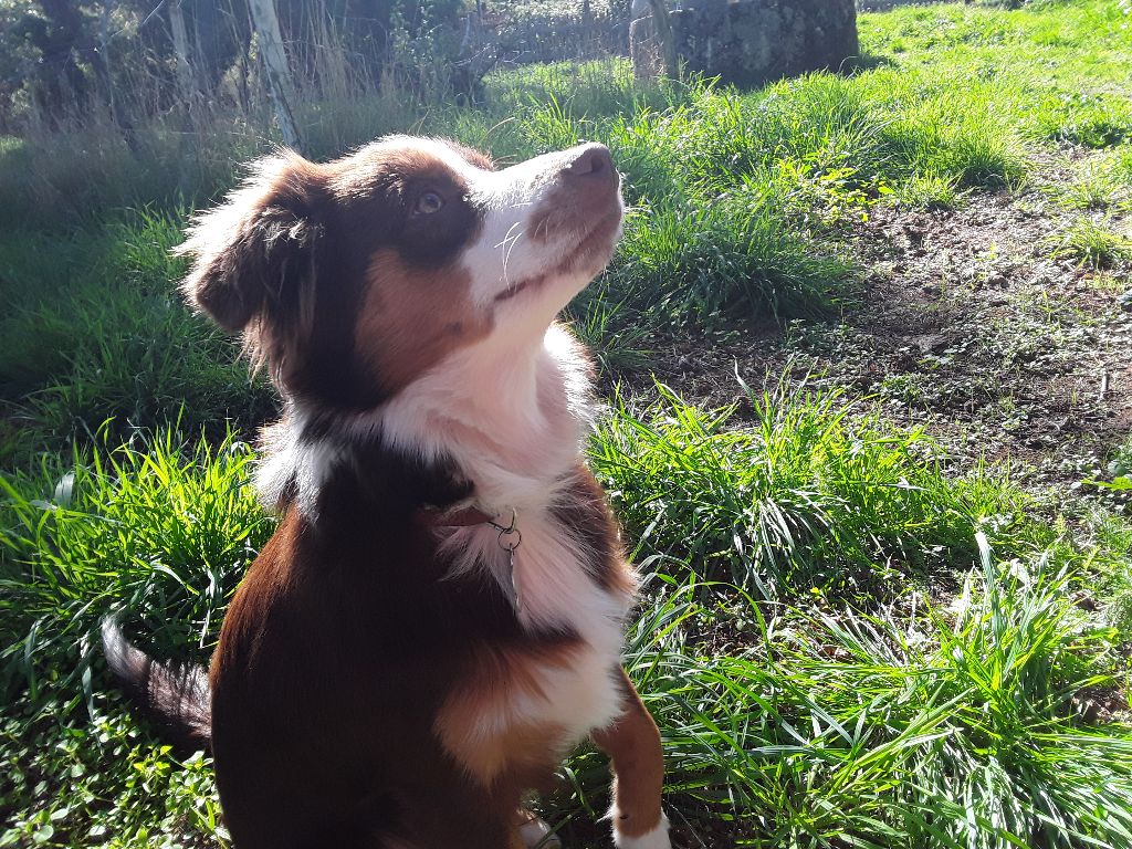 Anouk Des Graines De Bam