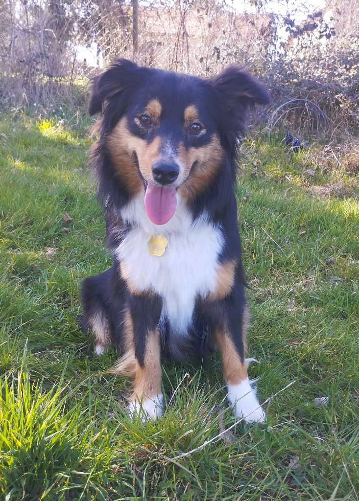 Ukiah Du Royaume D’Aria