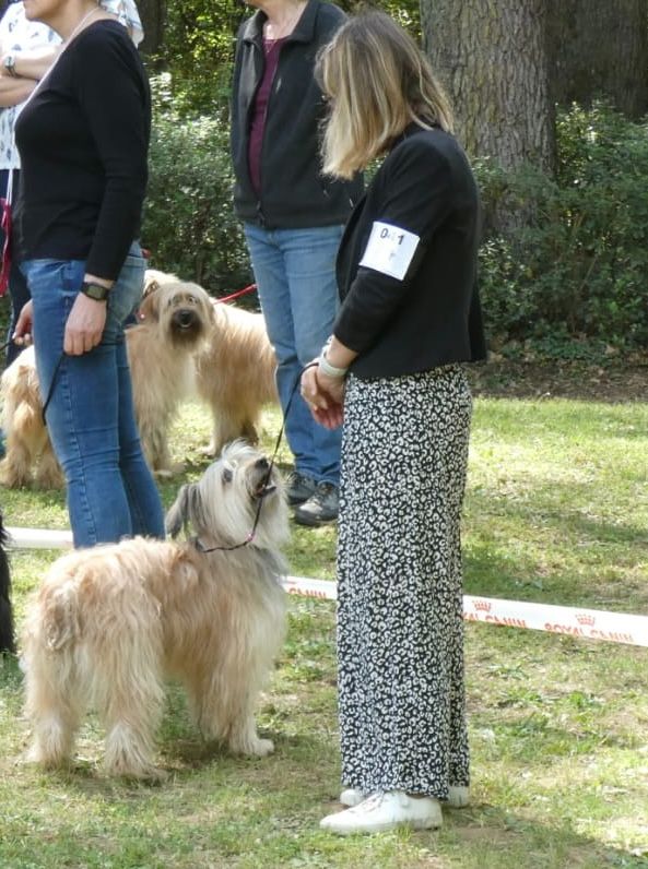 Paillette du Champ D'Onix