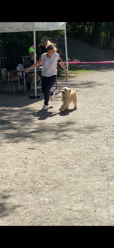 Paillette du Champ D'Onix