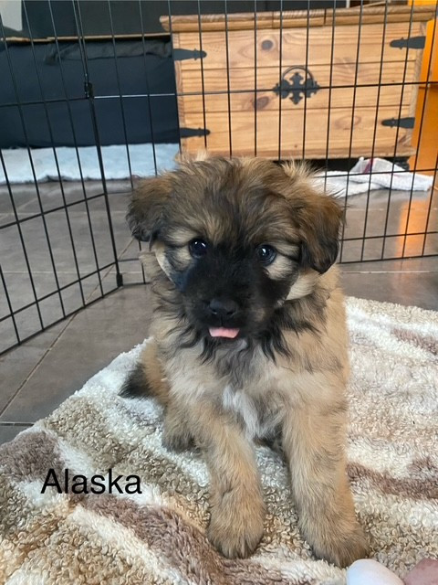 Alaska