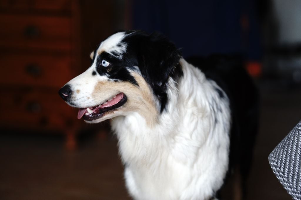 Unaya De La Tombée De La Nuit