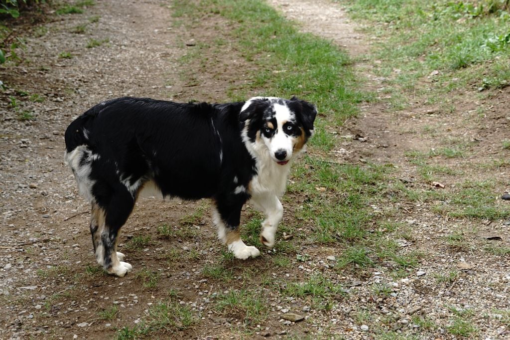 Unaya De La Tombée De La Nuit