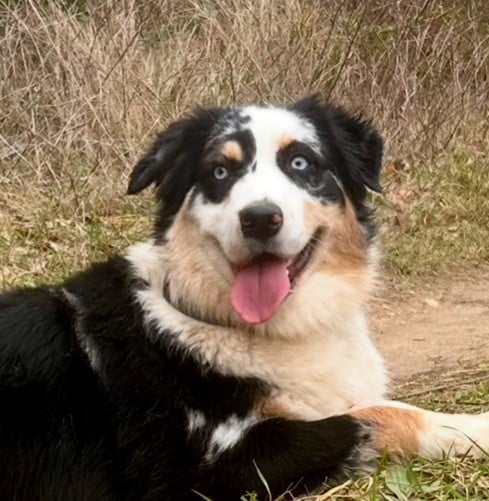 Unaya De La Tombée De La Nuit