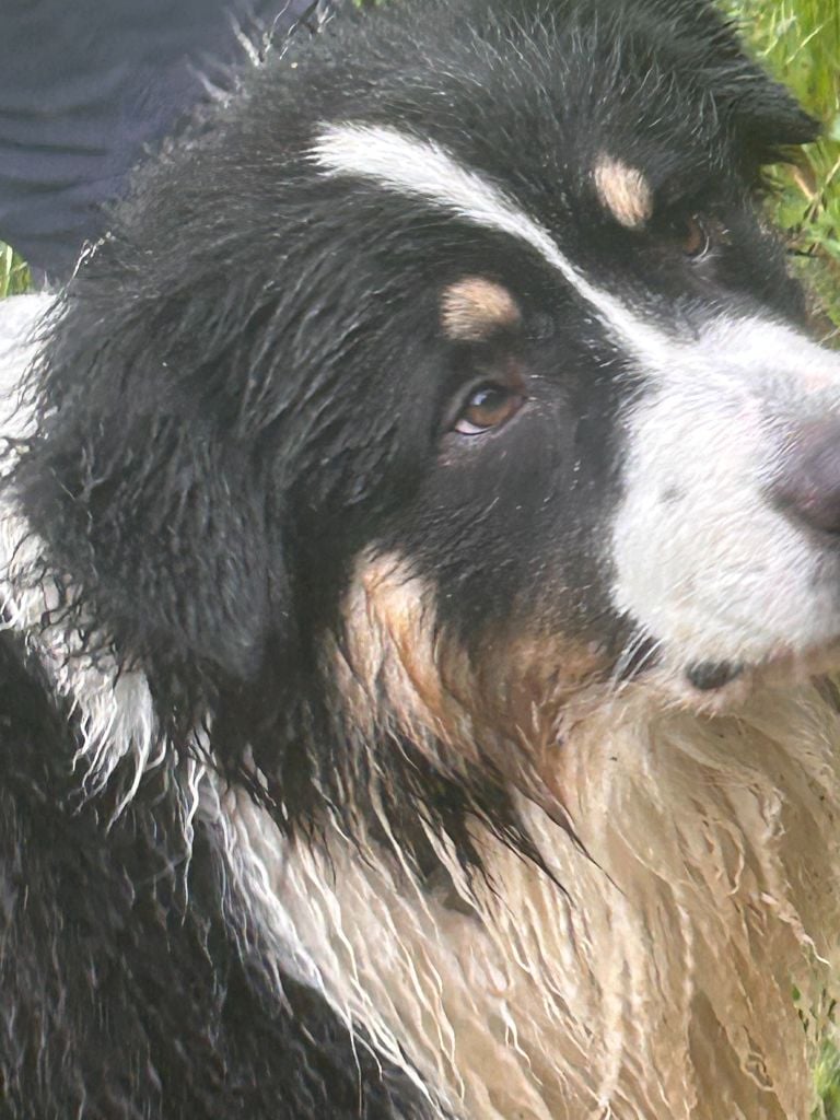 Virginia blacksburg Des Collines d'Iowa