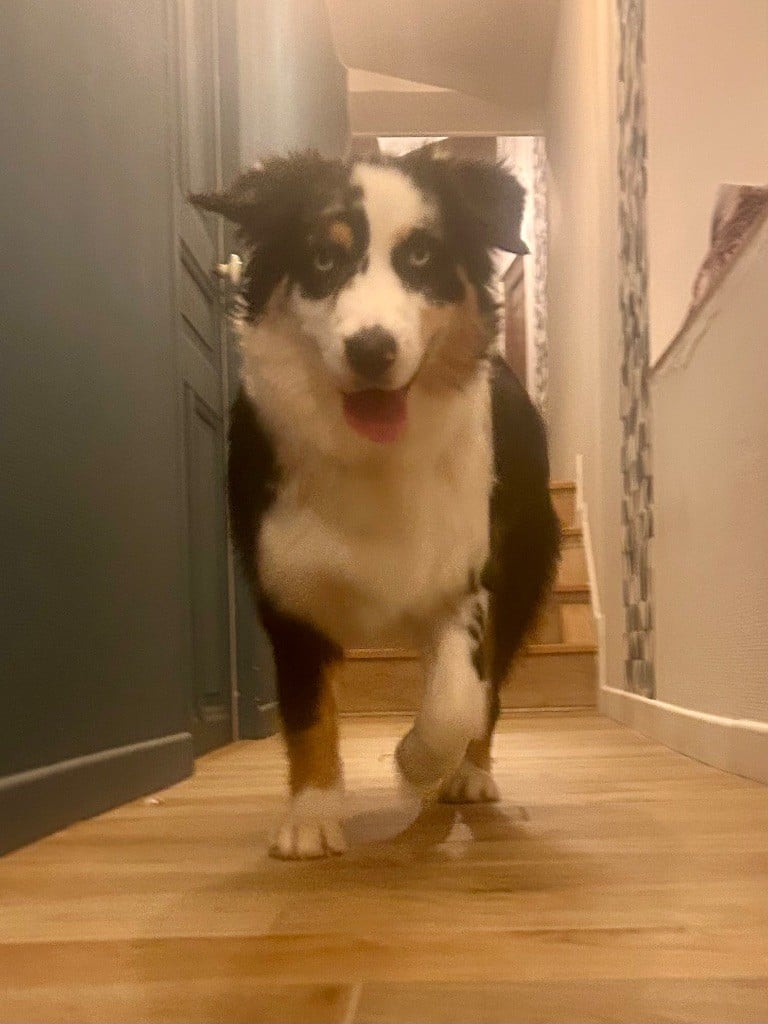 Unaya De La Tombée De La Nuit