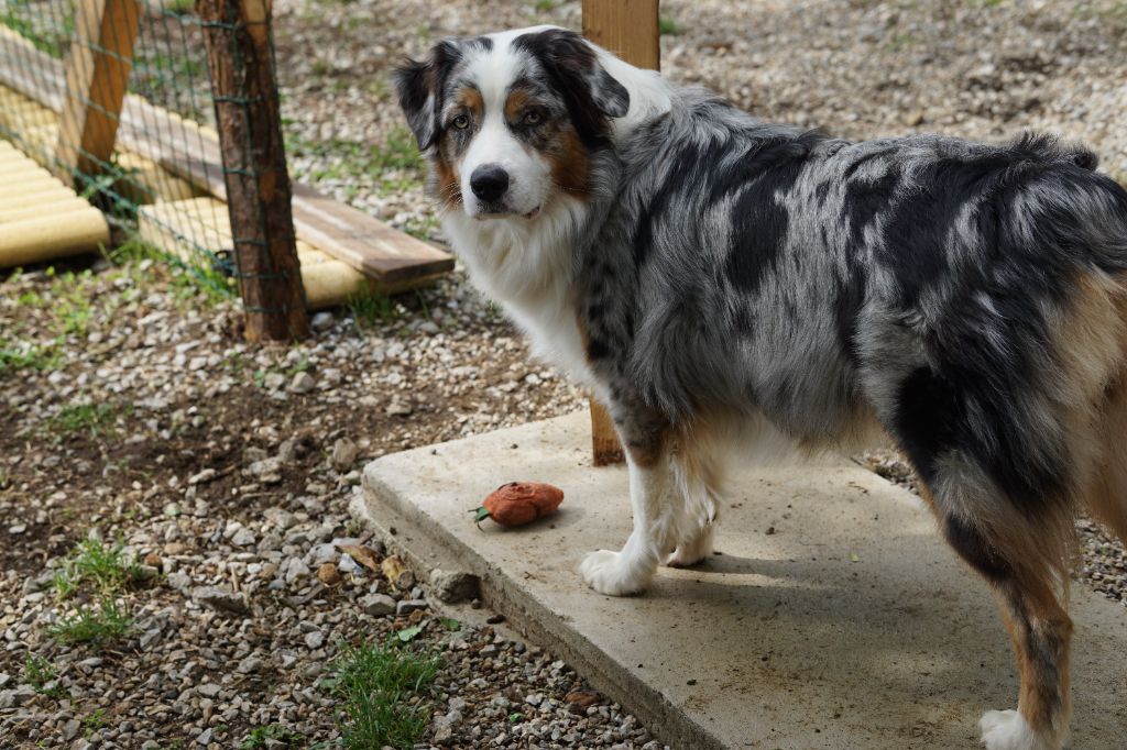 Umie De La Vallée De Quezacs