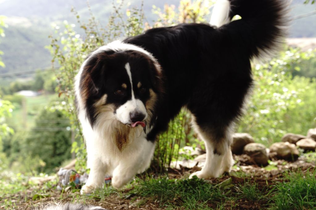 Virginia blacksburg Des Collines d'Iowa