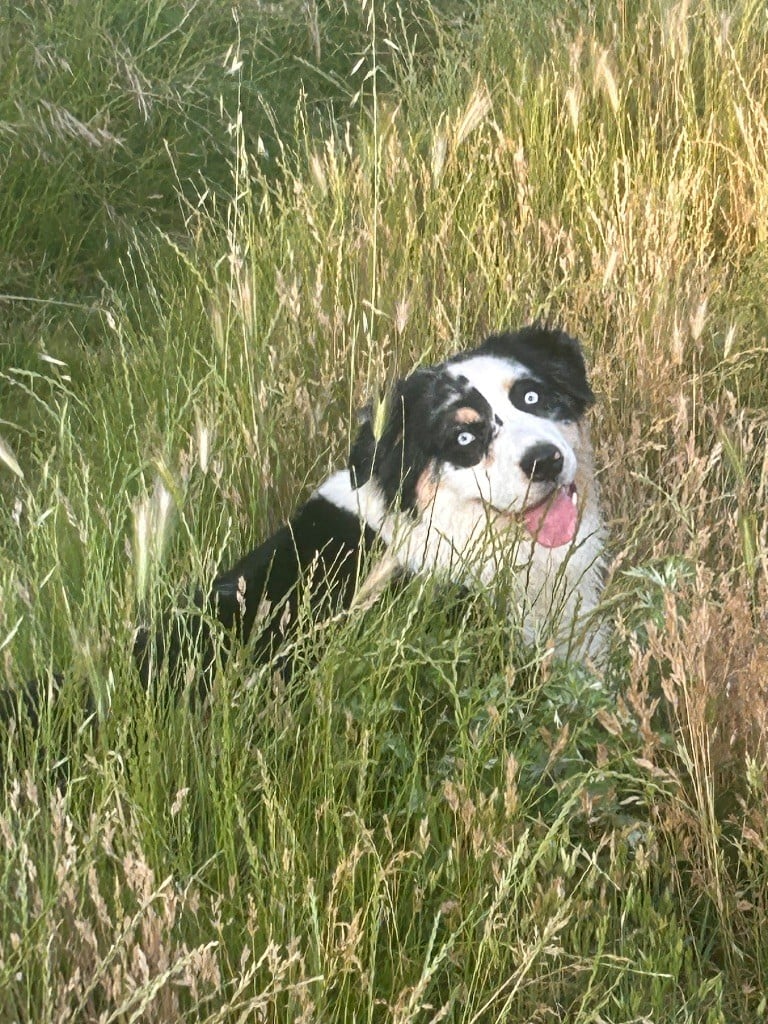 Unaya De La Tombée De La Nuit