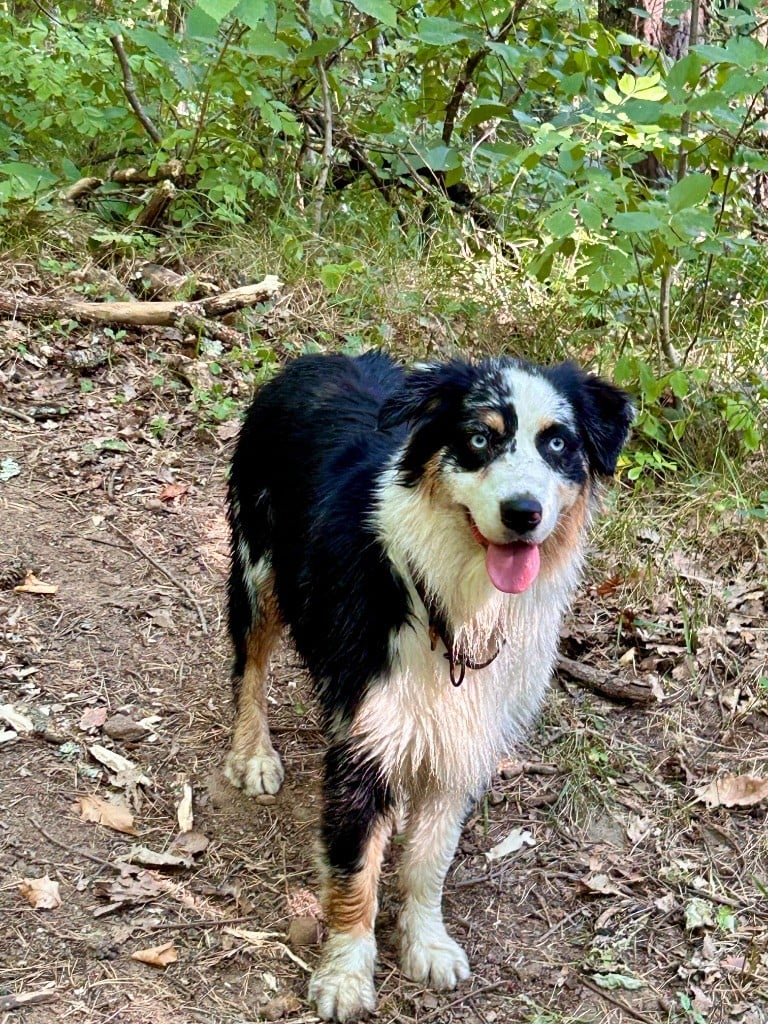 Unaya De La Tombée De La Nuit