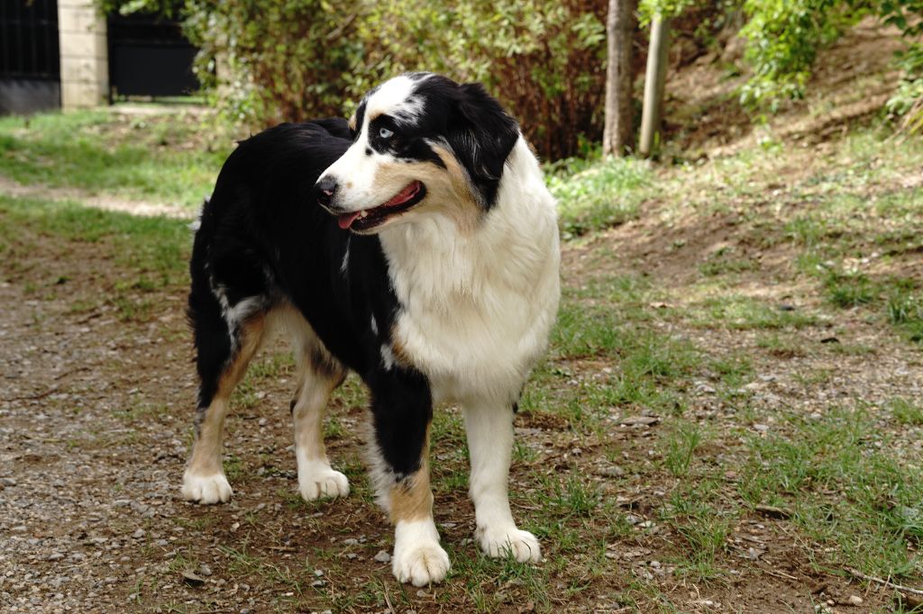 Unaya De La Tombée De La Nuit
