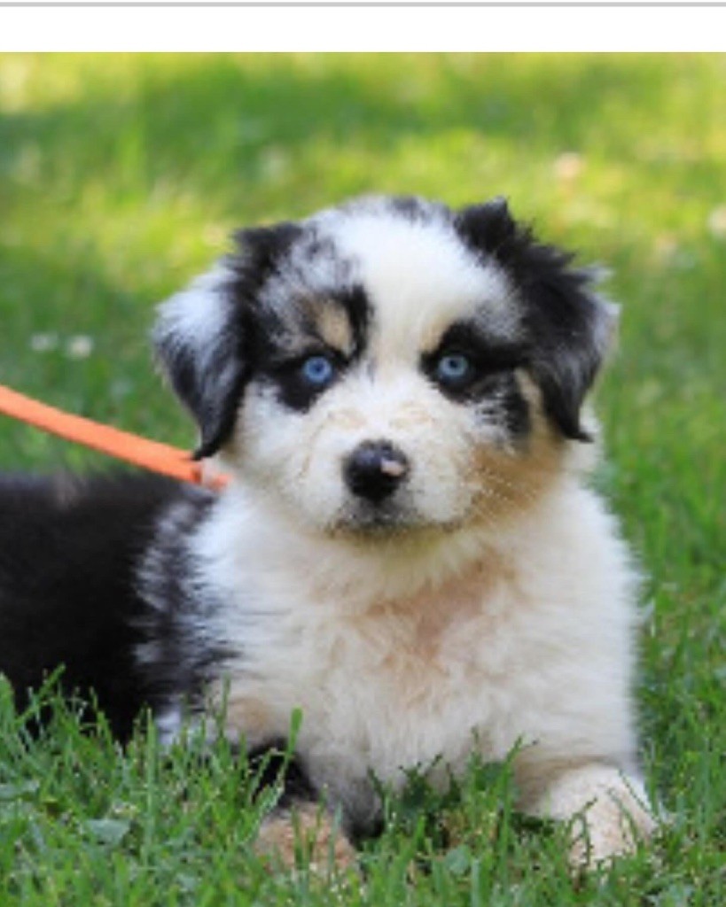 Unaya De La Tombée De La Nuit