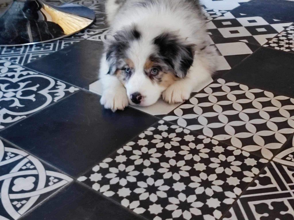 Umie De La Vallée De Quezacs