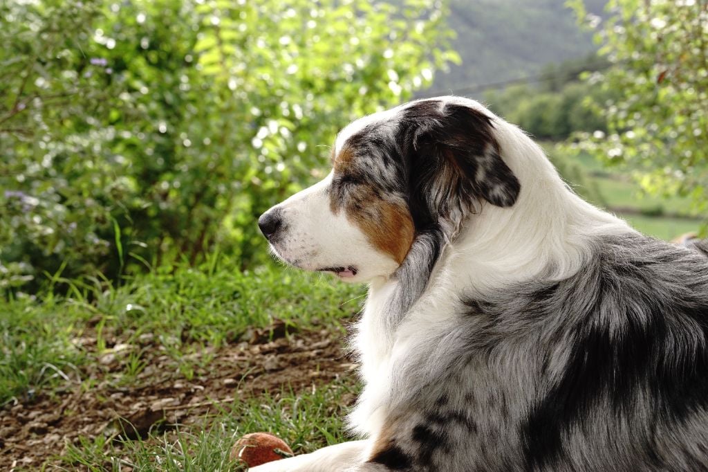 Umie De La Vallée De Quezacs