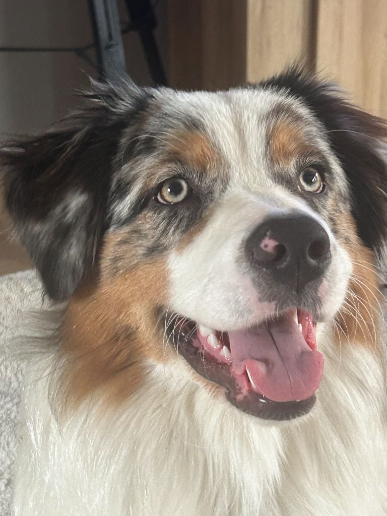 Umie De La Vallée De Quezacs