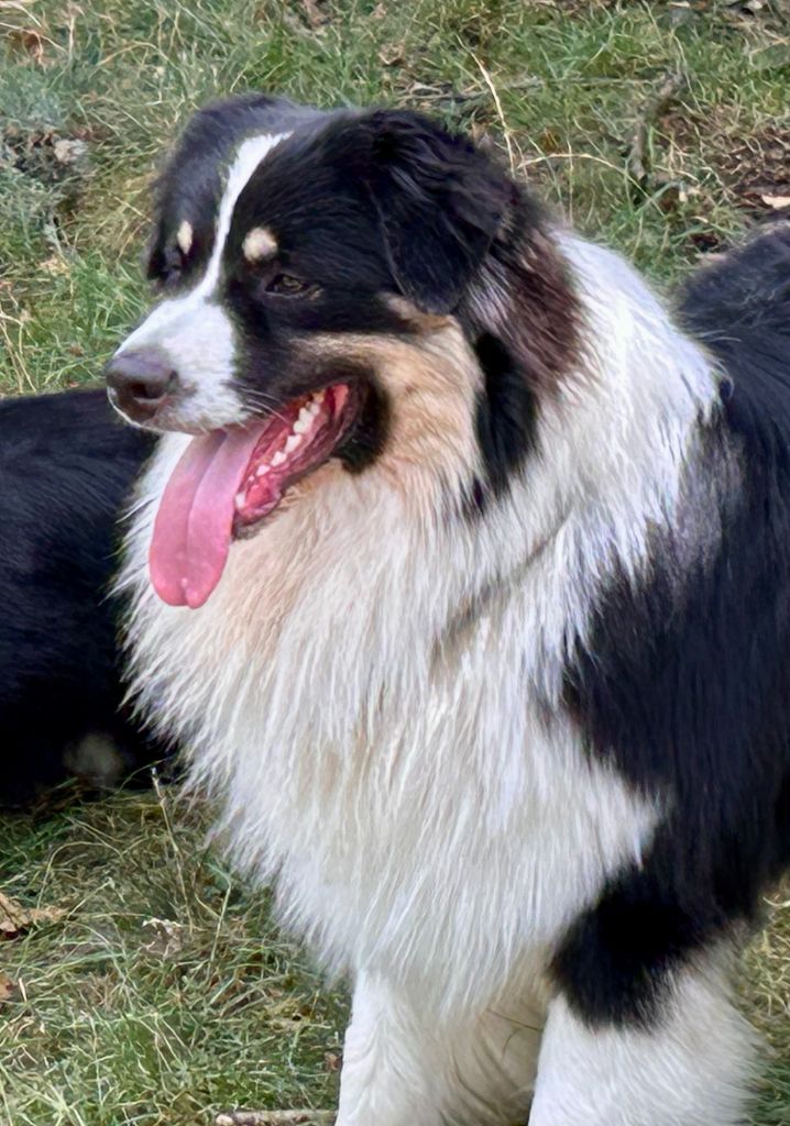 Virginia blacksburg Des Collines d'Iowa