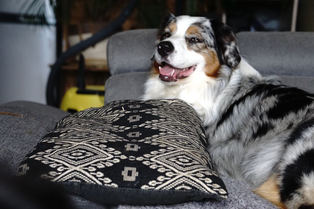 Umie De La Vallée De Quezacs