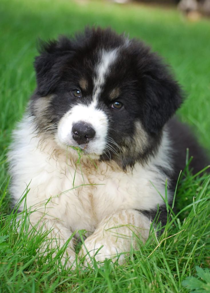 Virginia blacksburg Des Collines d'Iowa