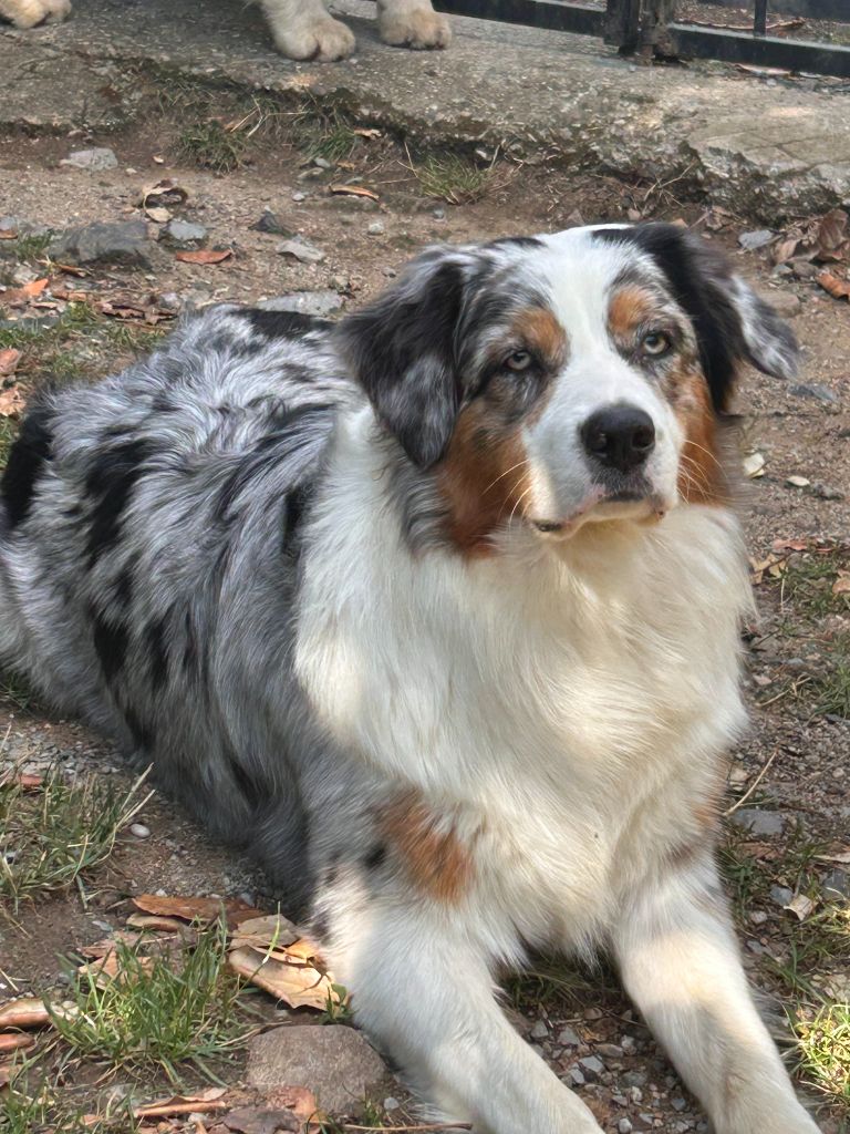 Umie De La Vallée De Quezacs