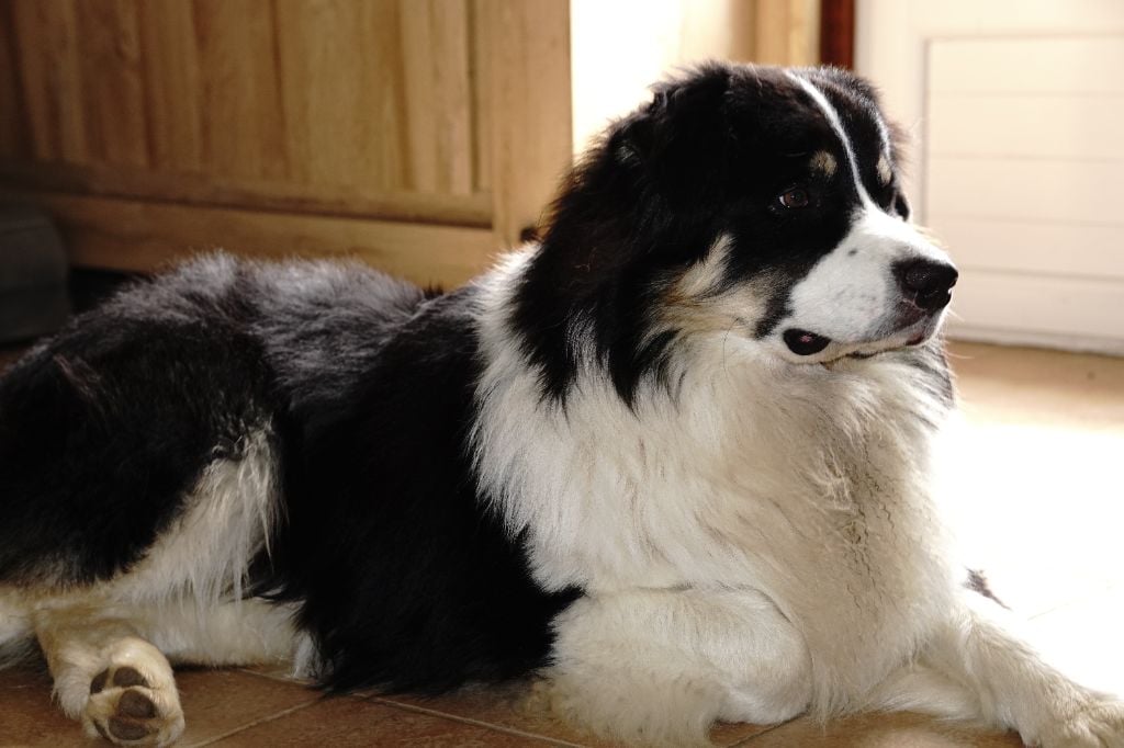 Virginia blacksburg Des Collines d'Iowa