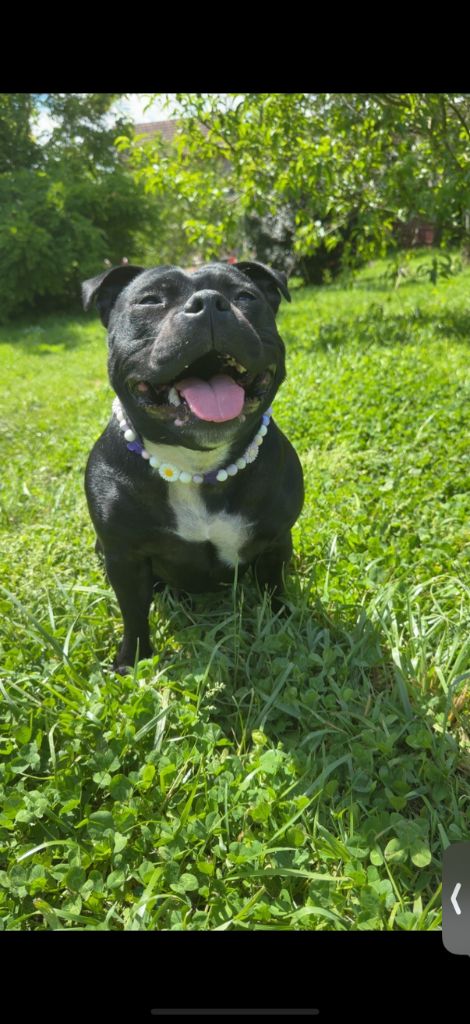 Teva Du Hameau Des Diablotins