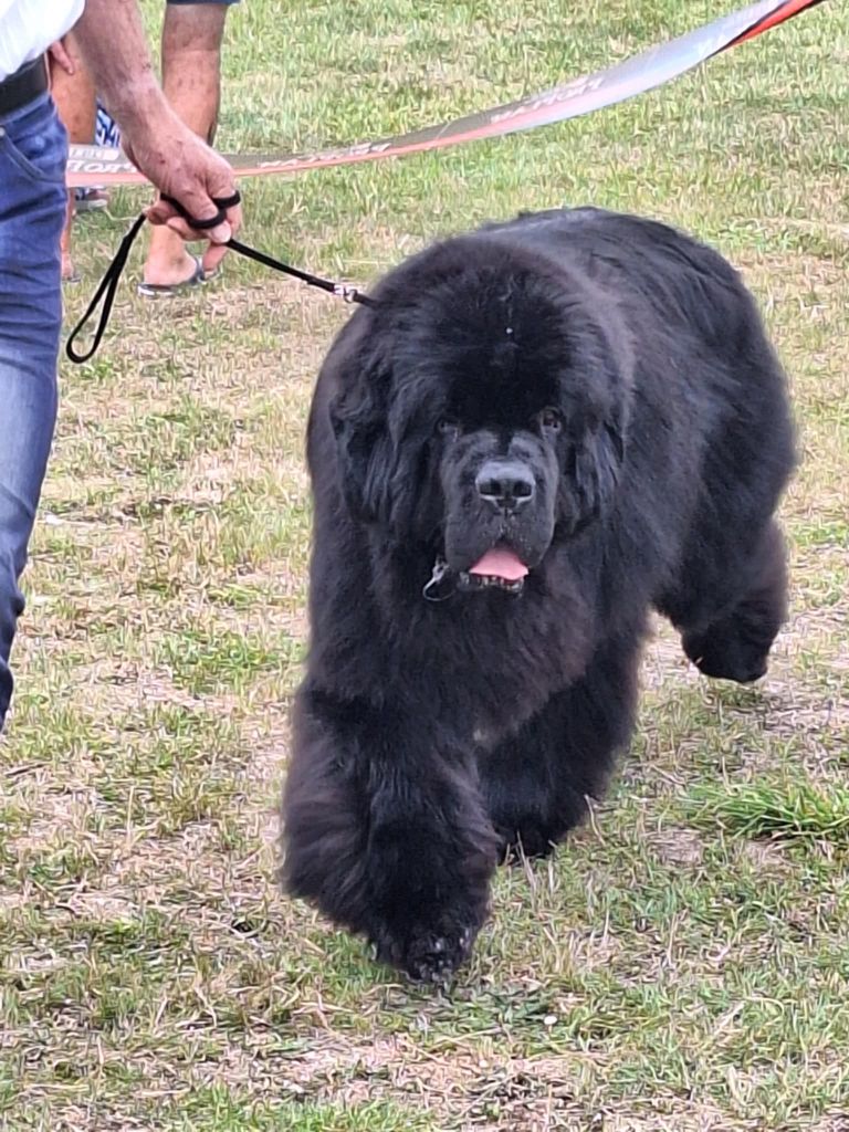 Publication : jacques colas