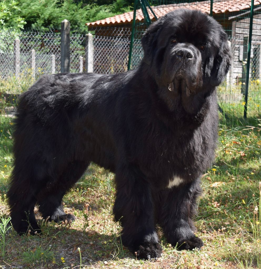 Publication : jacques colas