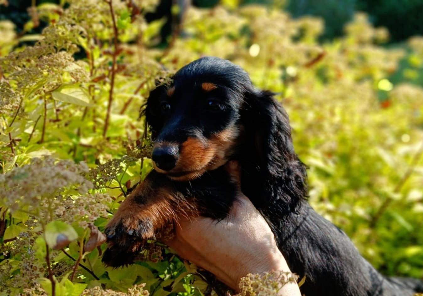 Publication : Ever Single