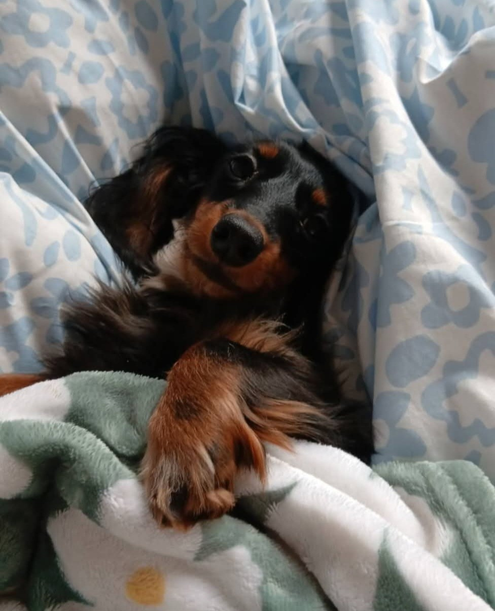 Publication : Ever Single