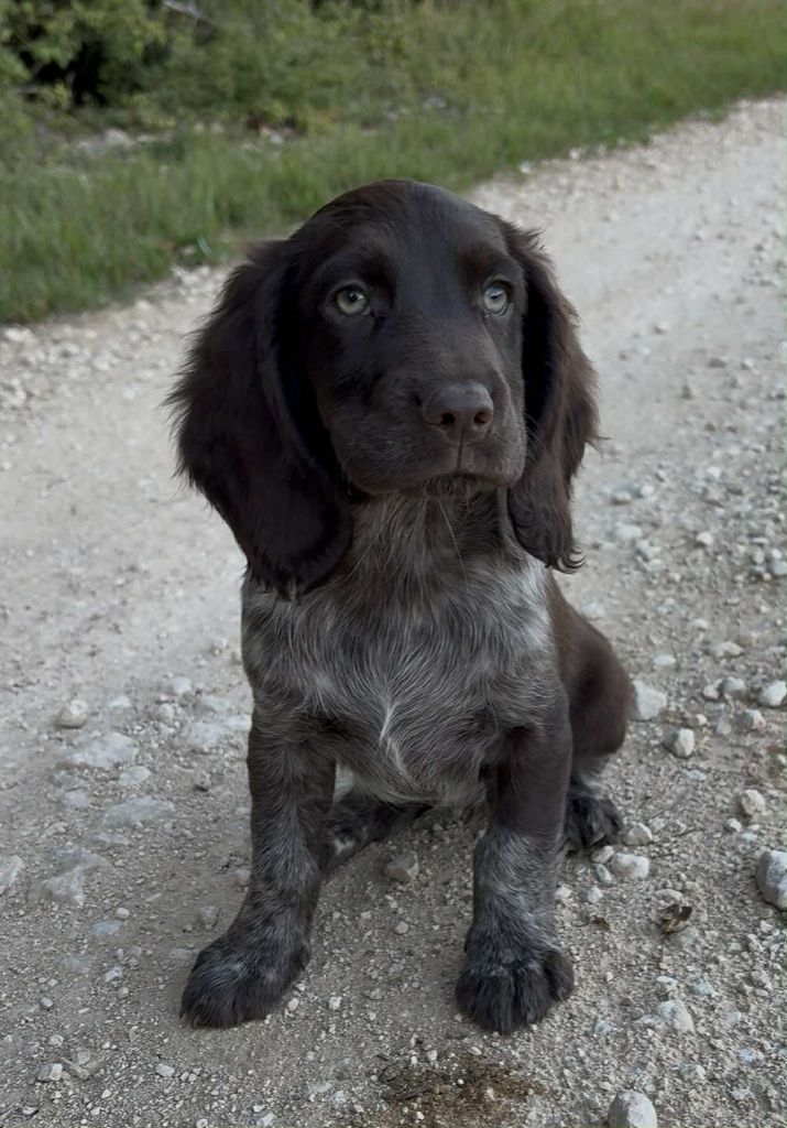 Astra De La Graverotte