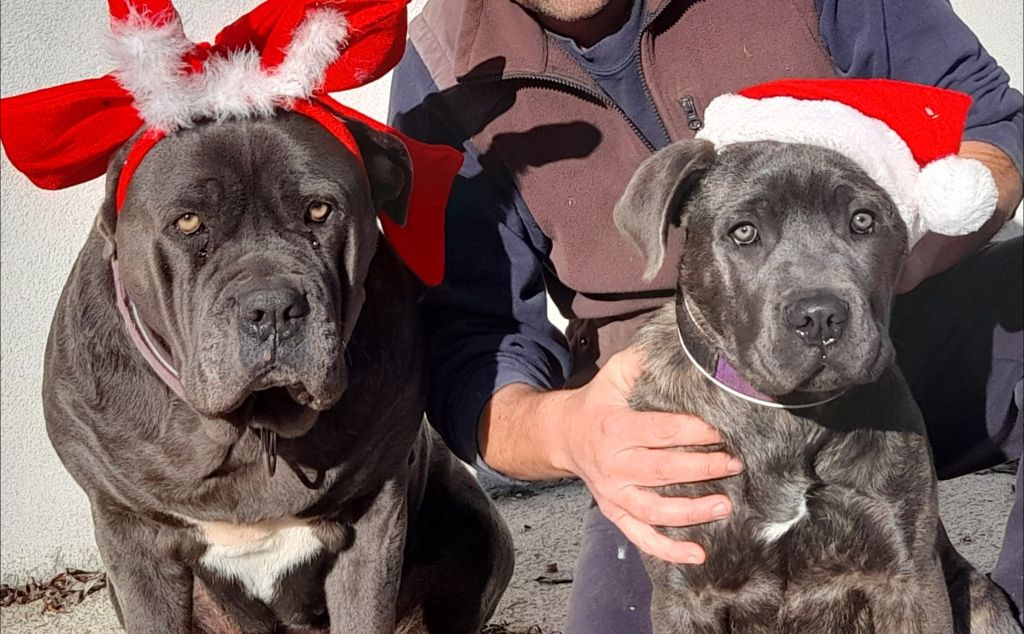 Remind the best Des Gardiens De Cebenna