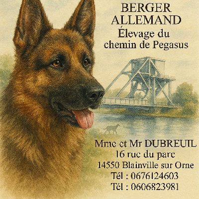 Du Chemin De Pegasus