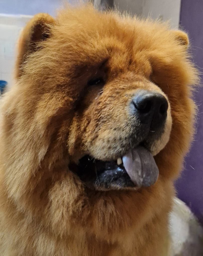 Valdis des gardiens de la Hem