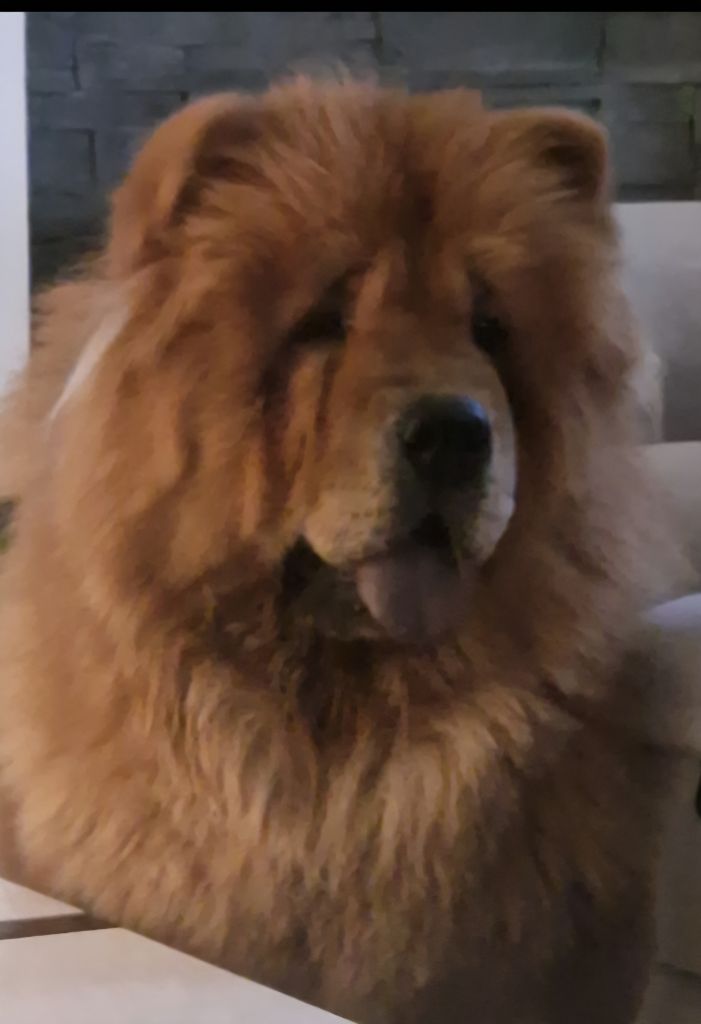 Valdis des gardiens de la Hem