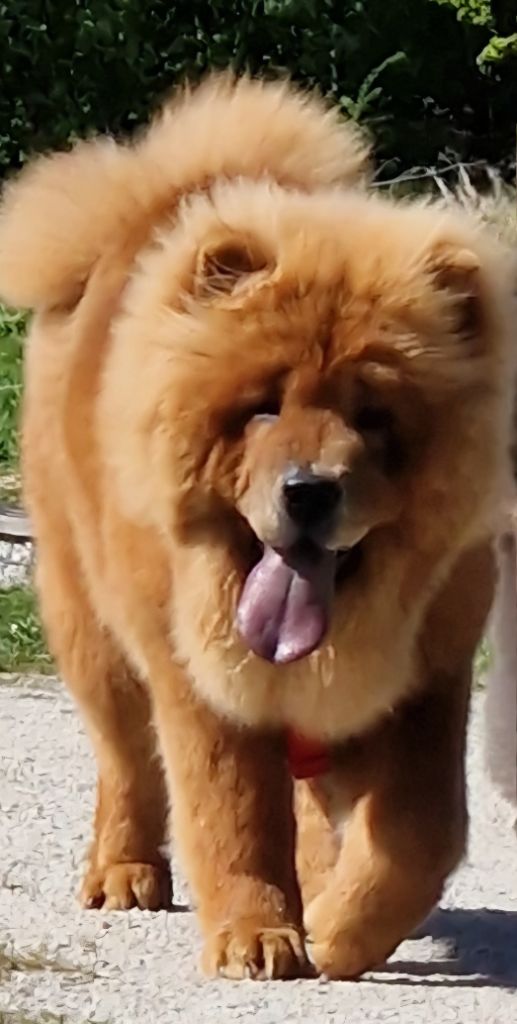 Valdis des gardiens de la Hem