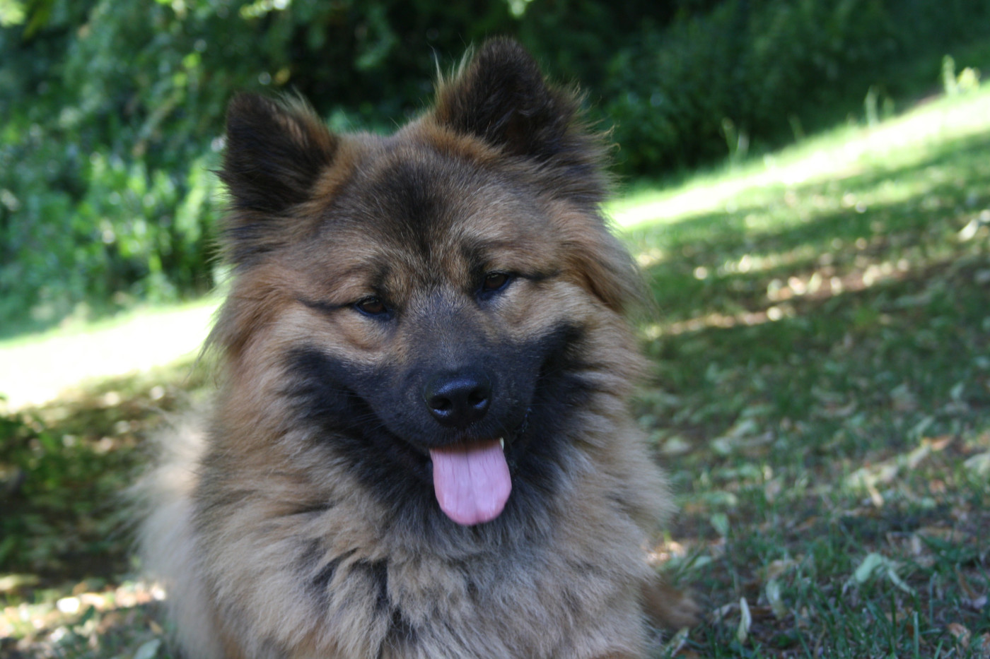 Uska Du Royaume De Freyr