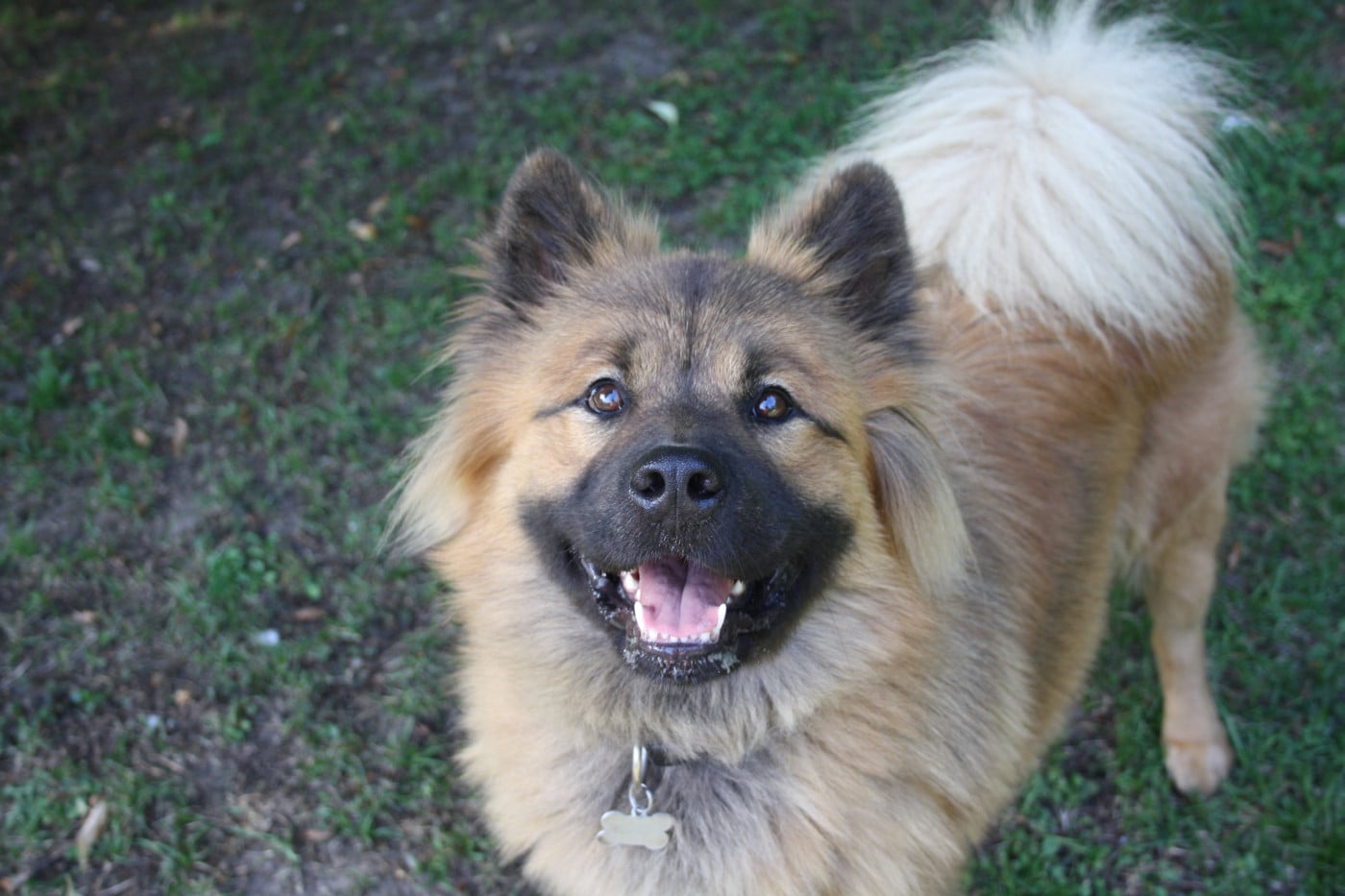 Uska Du Royaume De Freyr