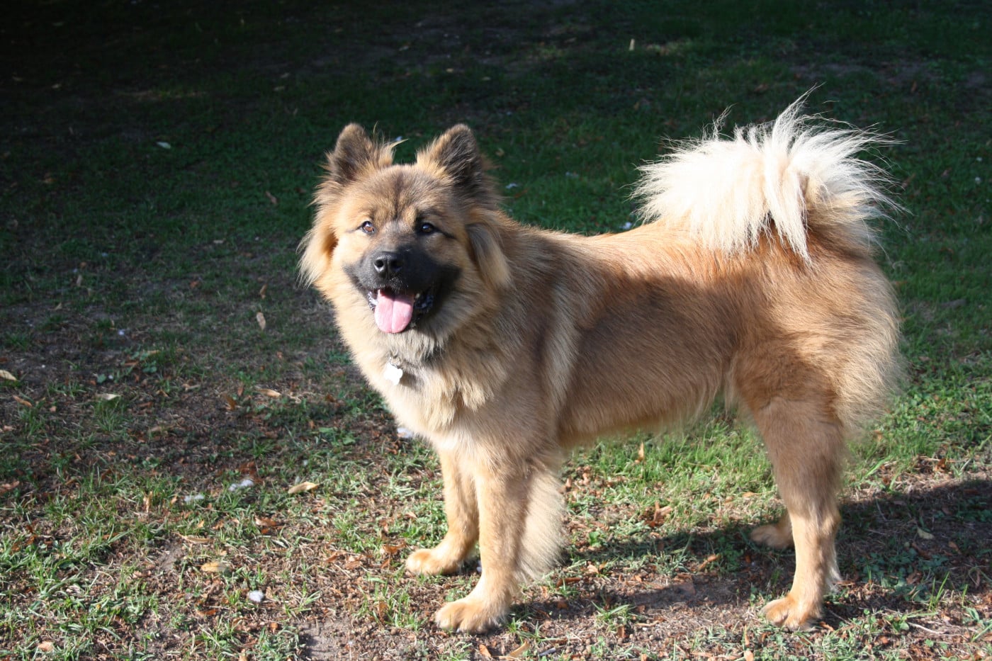 Uska Du Royaume De Freyr