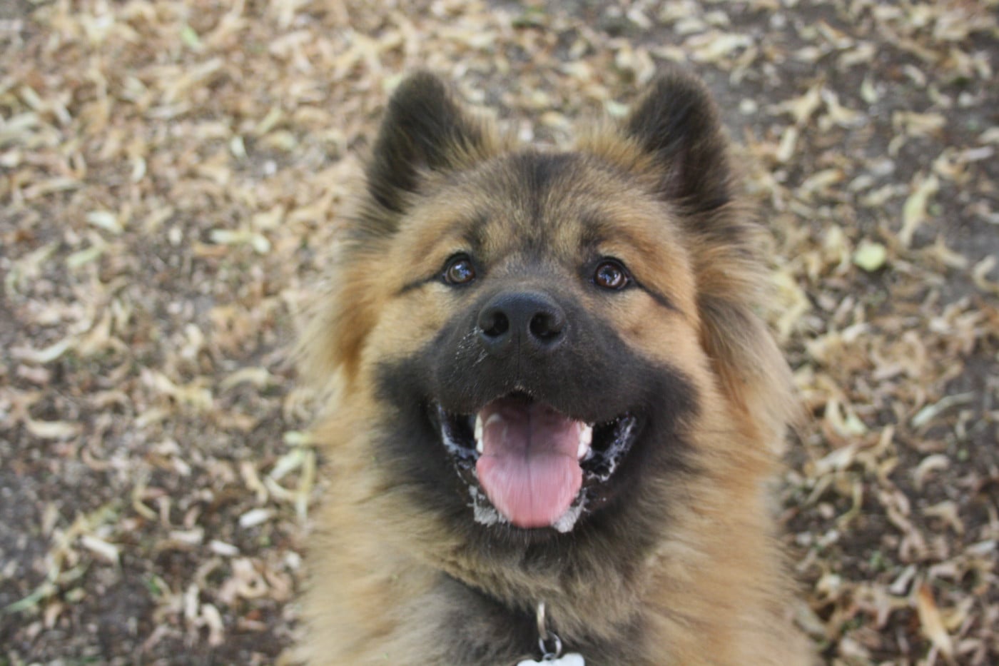 Uska Du Royaume De Freyr