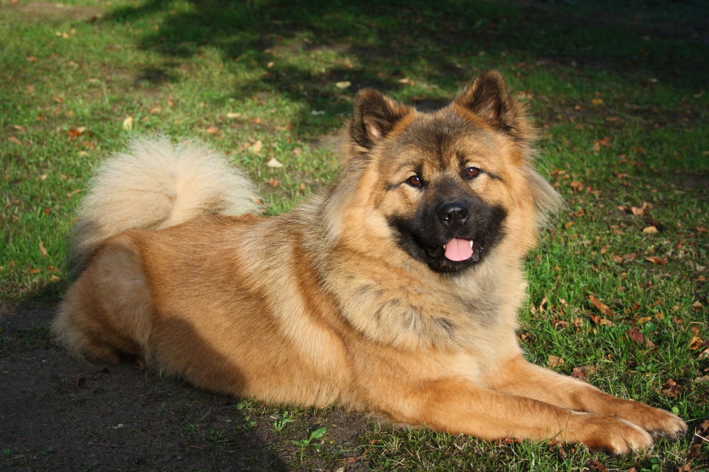 Uska Du Royaume De Freyr