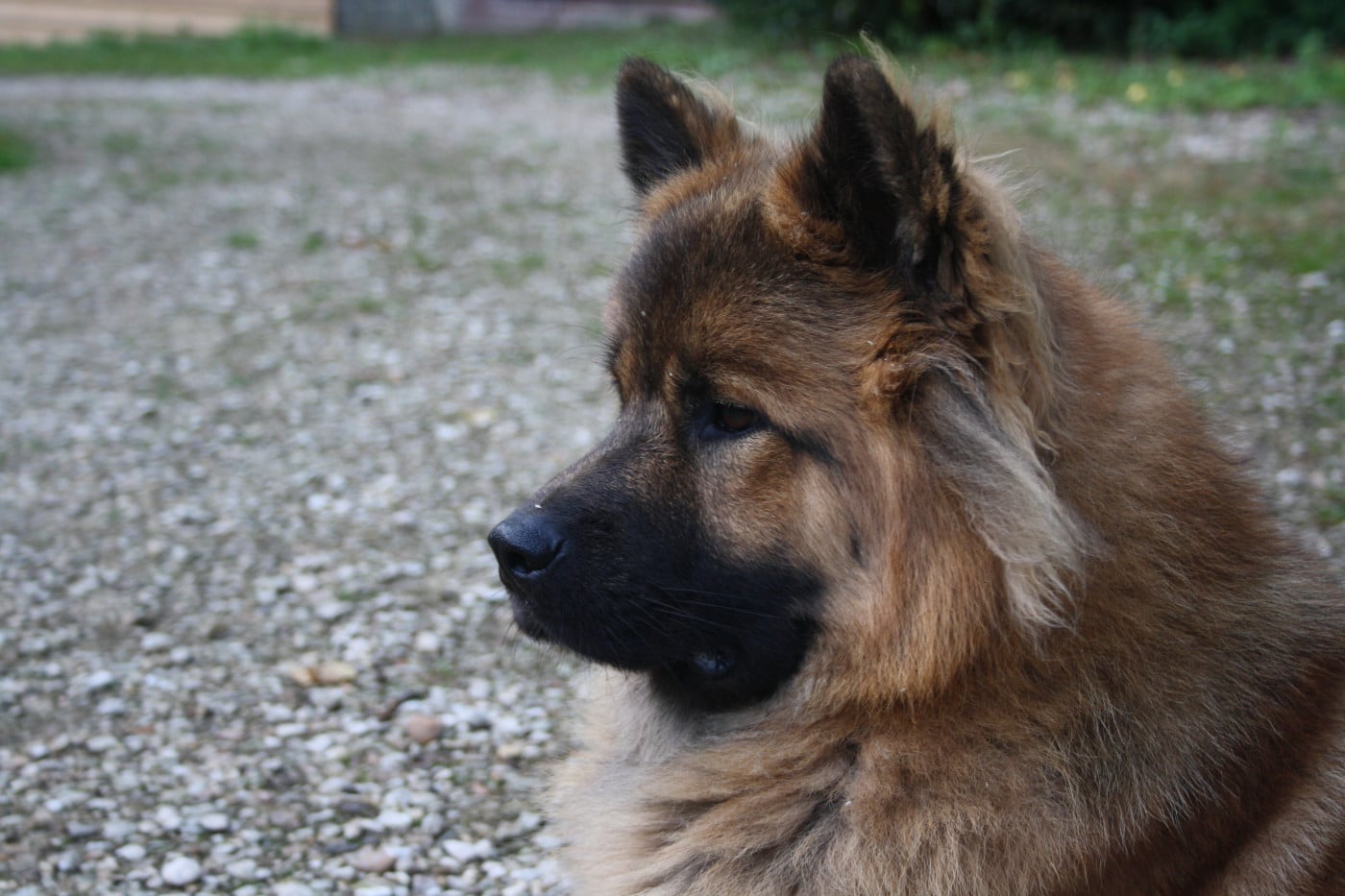 Uska Du Royaume De Freyr