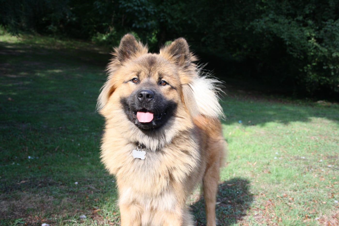 Uska Du Royaume De Freyr