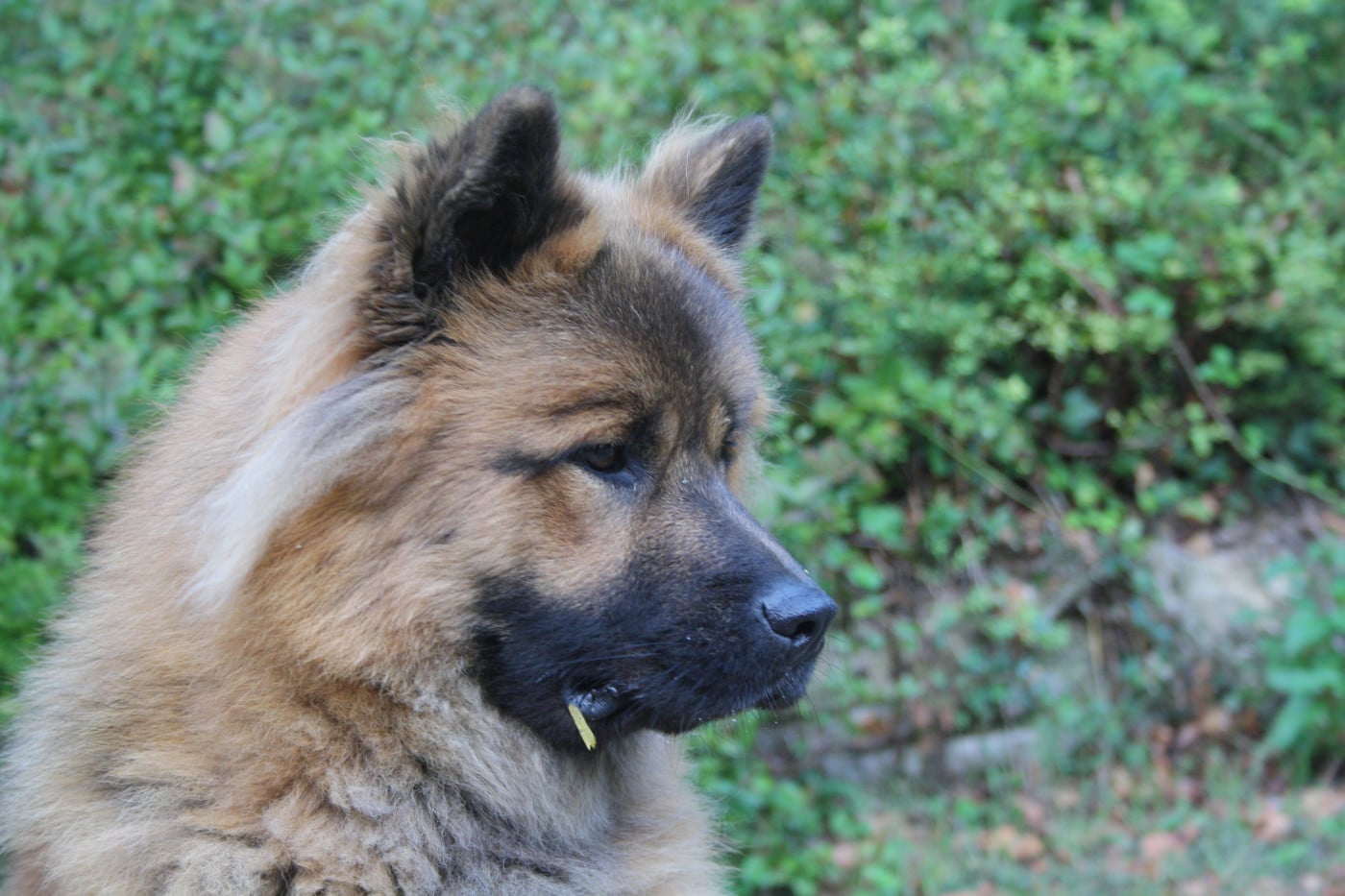 Uska Du Royaume De Freyr